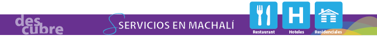 BOTONES DESCUBRE MACHALI 01