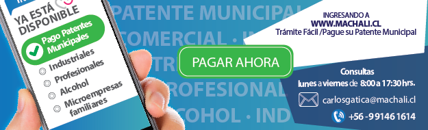 pago patente municipal banner 01